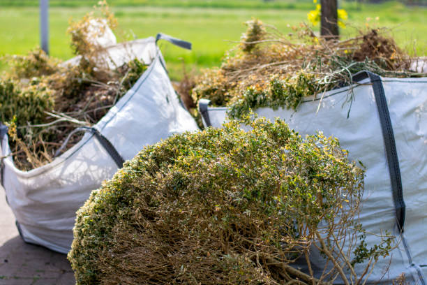 Best Same-Day Junk Removal  in Crown Heights, NY
